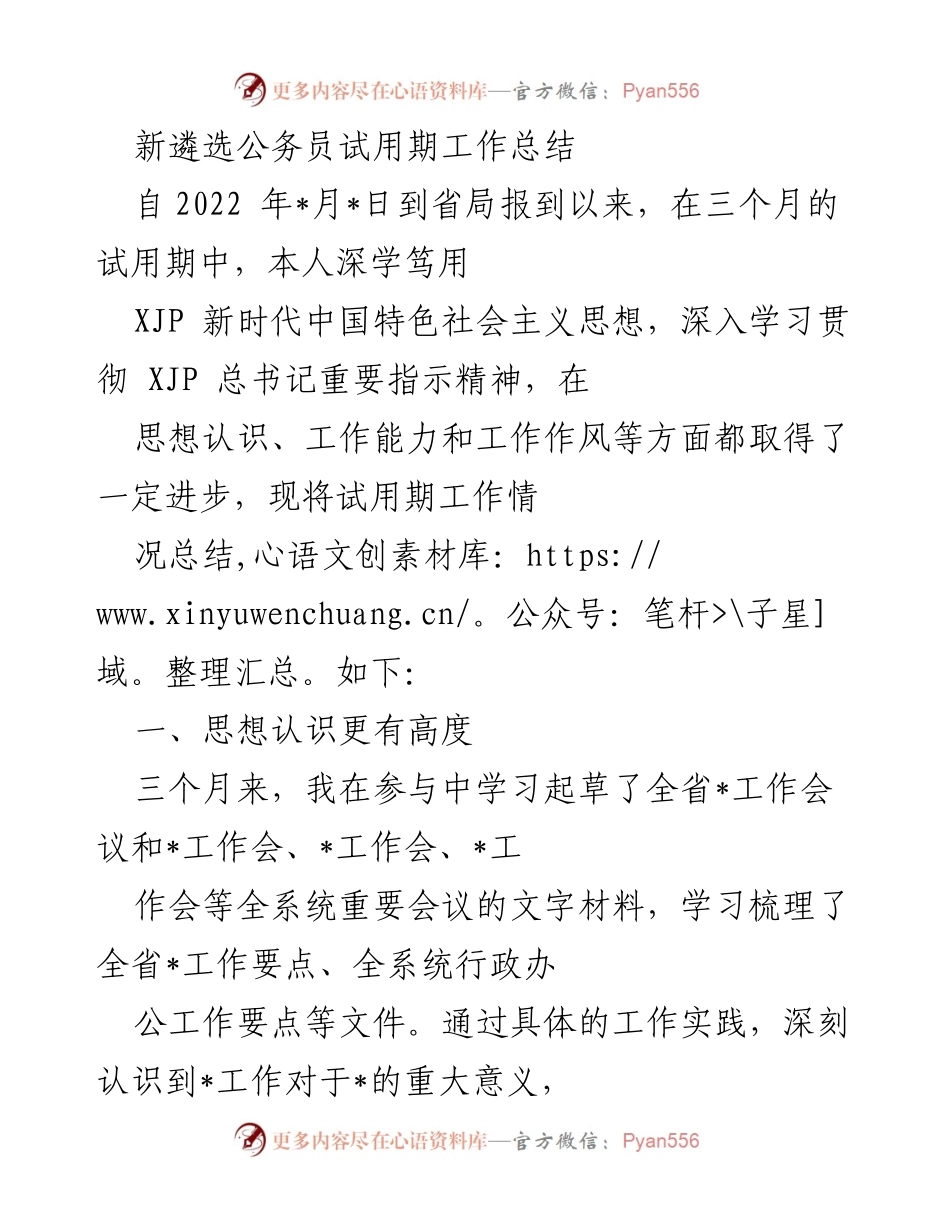 [工作总结] 公务员试用期 - 新遴选公务员试用期工作总结与反思_1.docx_第1页