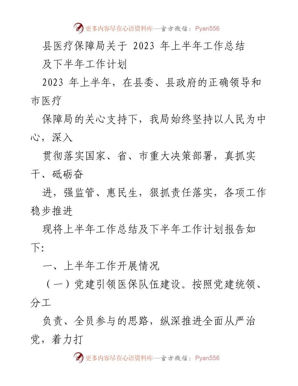 [工作总结] 医疗保障局 - 2023年上半年工作总结及下半年工作计划_3.docx_第1页