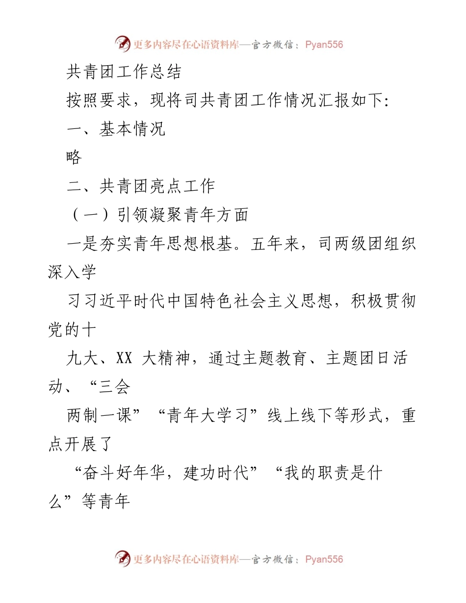 [工作总结] 共青团工作 - 共青团工作亮点及发展总结.docx_第1页