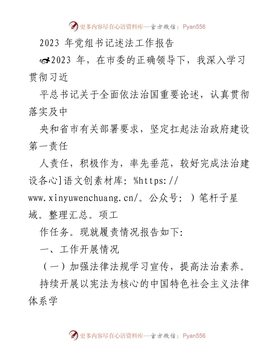 [工作总结] 党组书记述法工作 - 2023年法治政府建设工作总结报告.docx_第1页