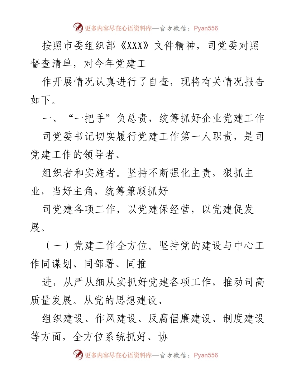[工作总结] 党建工作自查 - 党建工作自查报告及发展战略规划.docx_第1页