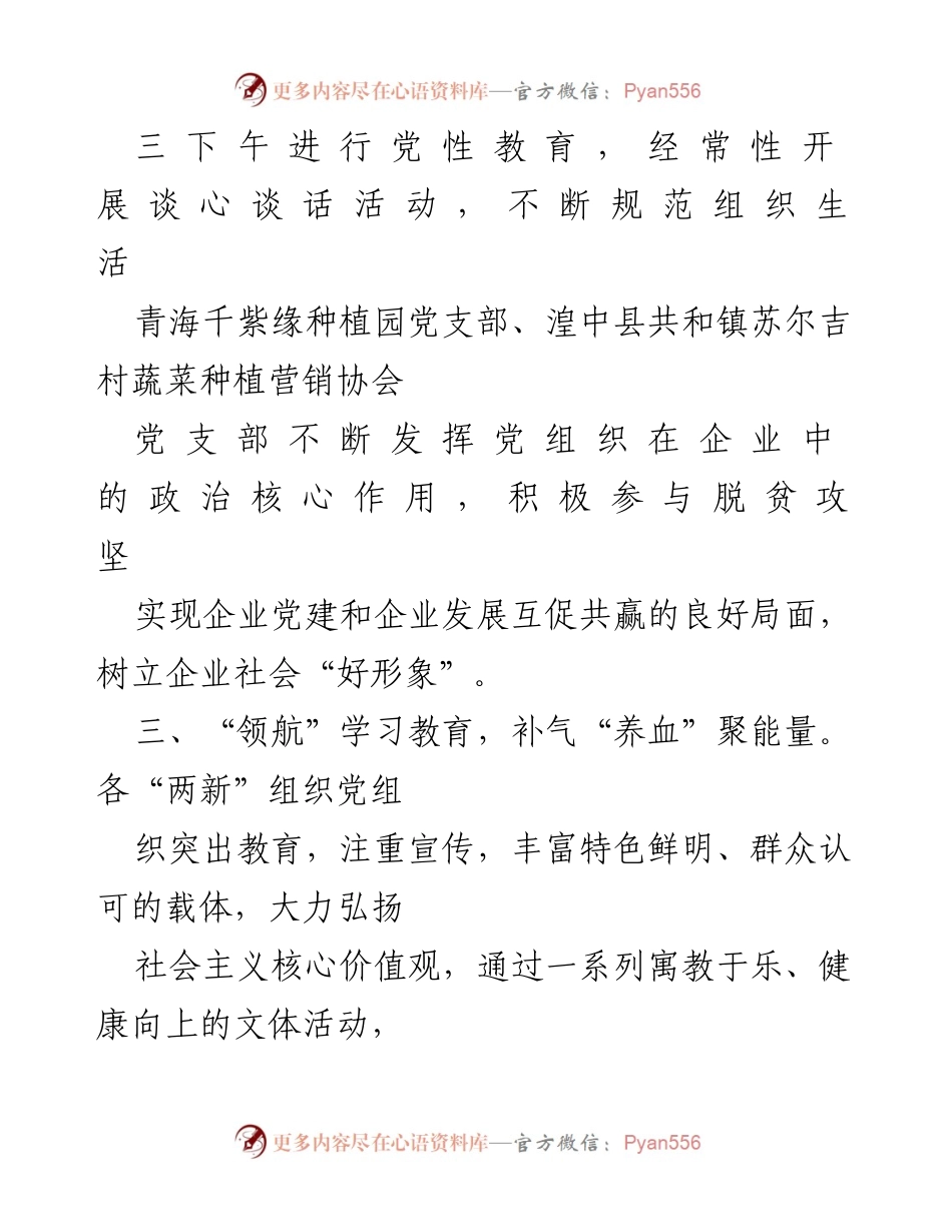 [工作总结] 党建活动 - 深化“两新”组织党建工作与生产经营融合的实践探索.docx_第2页
