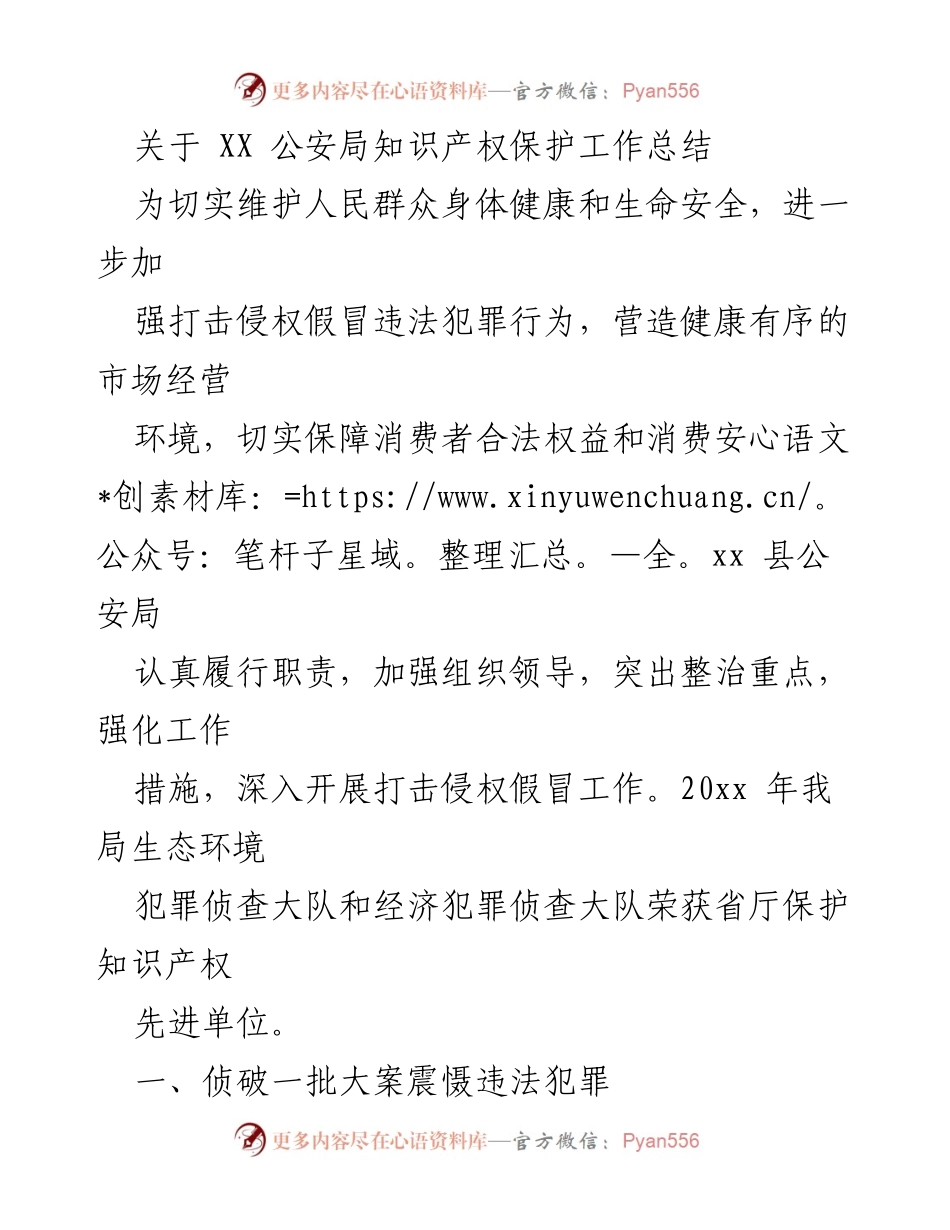 [工作总结] 公安局 - XX 公安局知识产权保护工作总结.docx_第1页