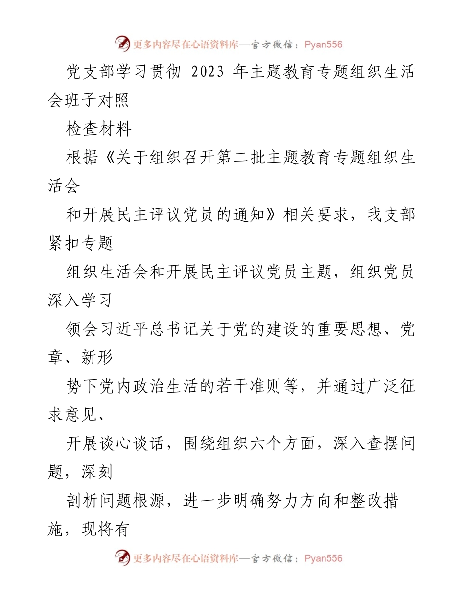 [工作总结] 党支部专题组织生活会 - 2023年主题教育专题组织生活会班子对照检查总结报告.docx_第1页