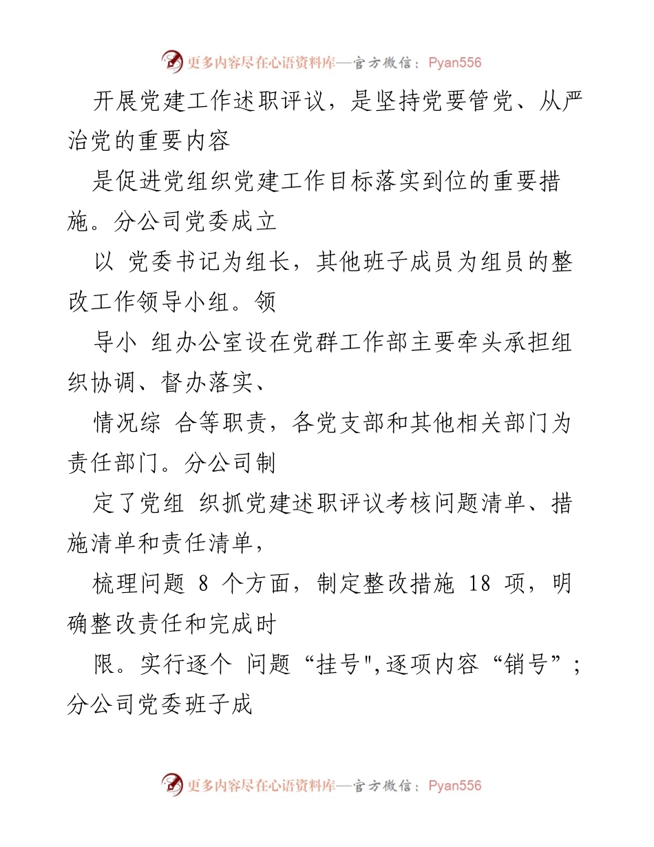 [工作总结] 党建整改 - xx分公司党组织书记抓党建述职评议考核整改情况汇报.docx_第2页