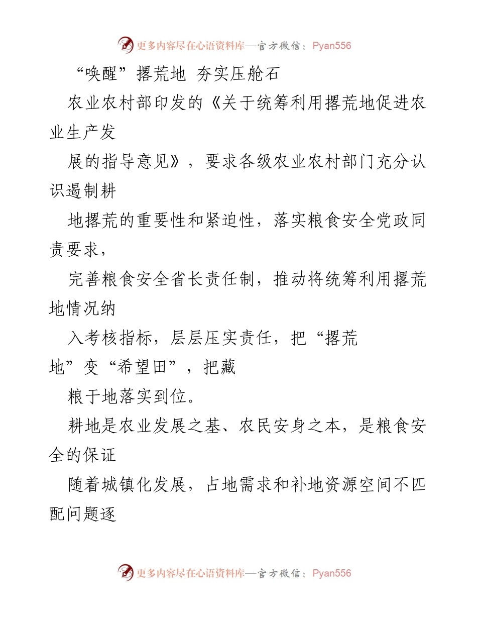 [工作总结] 农业政策实施 - 唤醒撂荒地，保障粮食安全.docx_第1页
