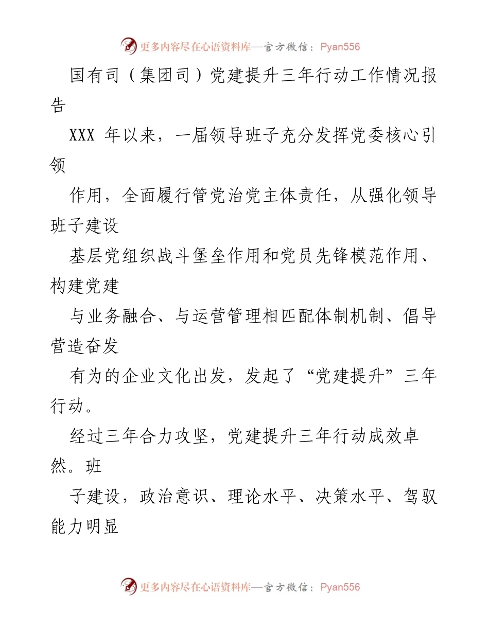 [工作总结] 党建提升行动 - 国有司党建提升三年行动工作情况报告.docx_第1页