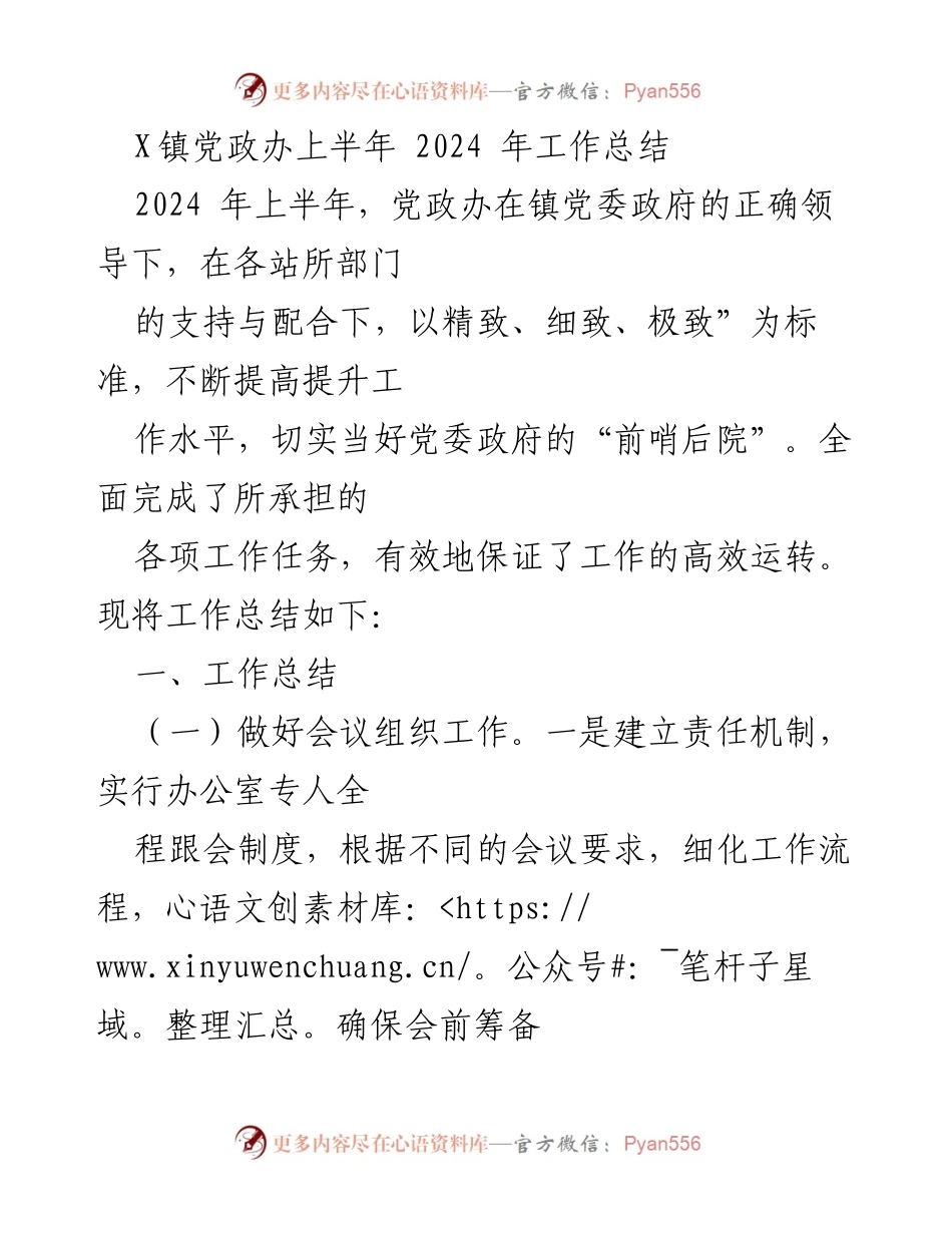 [工作总结] 党政办 - 2024年上半年工作总结报告.docx_第1页