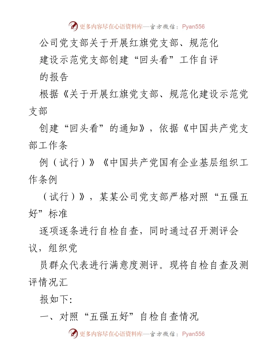 [工作总结] 党支部自评 - 红旗党支部创建“回头看”自检自查报告.docx_第1页