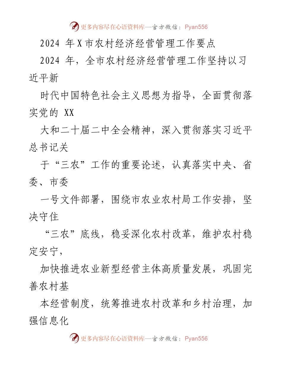 [工作总结] 农村经济管理 - 2024年X市农村经济经营管理工作要点.docx_第1页