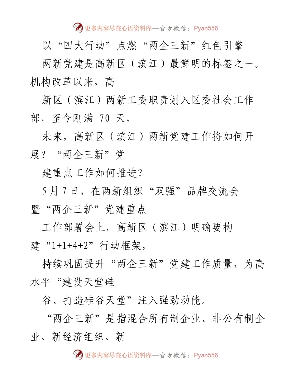 [工作总结] 党建工作部署会 - 高新区（滨江）“双强”品牌交流会暨“两企三新”党建工作部署总结.docx_第1页