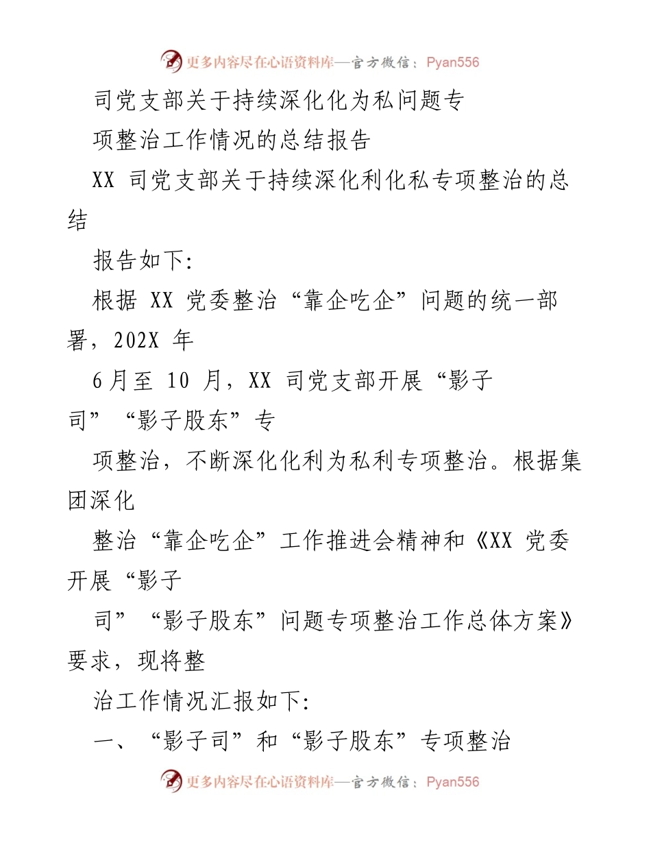 [工作总结] 党支部 - XX司关于深化“影子司”“影子股东”问题专项整治工作情况的总结报告.docx_第1页
