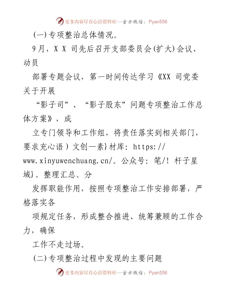 [工作总结] 党支部 - XX司关于深化“影子司”“影子股东”问题专项整治工作情况的总结报告.docx_第2页