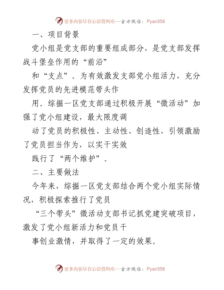 [工作总结] 党支部活动 - 激发党员活力的“三个带头”微活动实践总结.docx_第1页