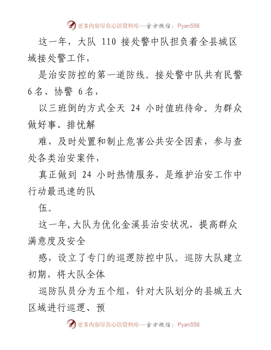 [工作总结] 公安工作 - 金溪县公安局特巡警大队年度工作总结.docx_第2页