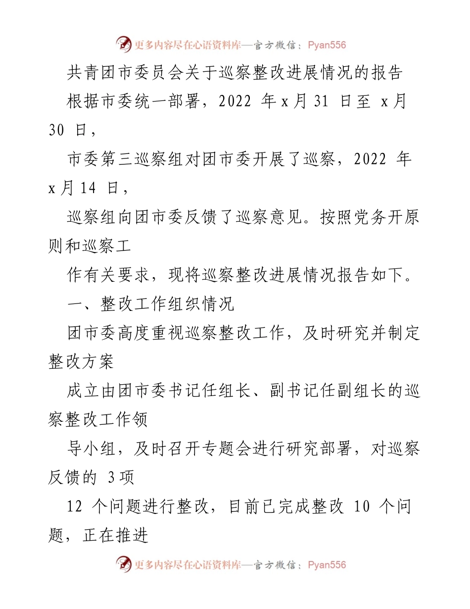 [工作总结] 共青团市委员会 - 巡察整改进展情况报告.docx_第1页