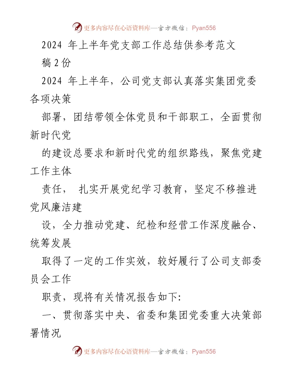 [工作总结] 党支部工作 - 2024年上半年党支部工作总结及成效报告.docx_第1页