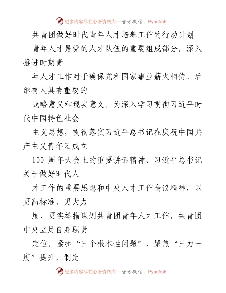 [工作总结] 共青团青年人才培养 - 共青团青年人才培养工作行动计划概述.docx_第1页
