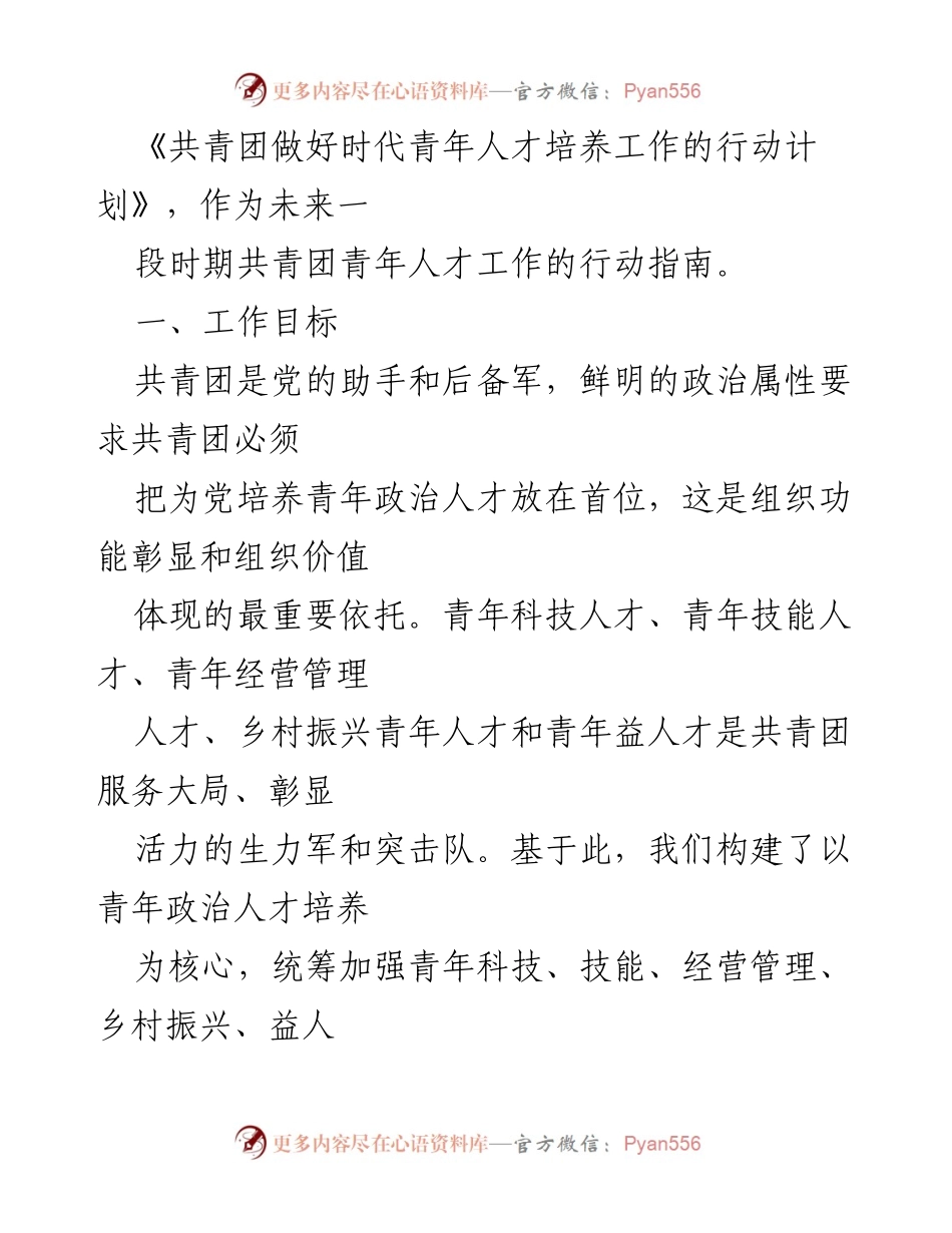 [工作总结] 共青团青年人才培养 - 共青团青年人才培养工作行动计划概述.docx_第2页