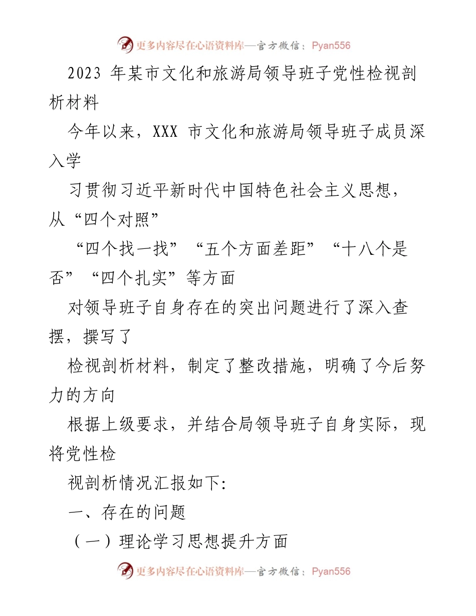 [工作总结] 党性检视 - 2023年某市文化和旅游局领导班子党性检视剖析报告.docx_第1页