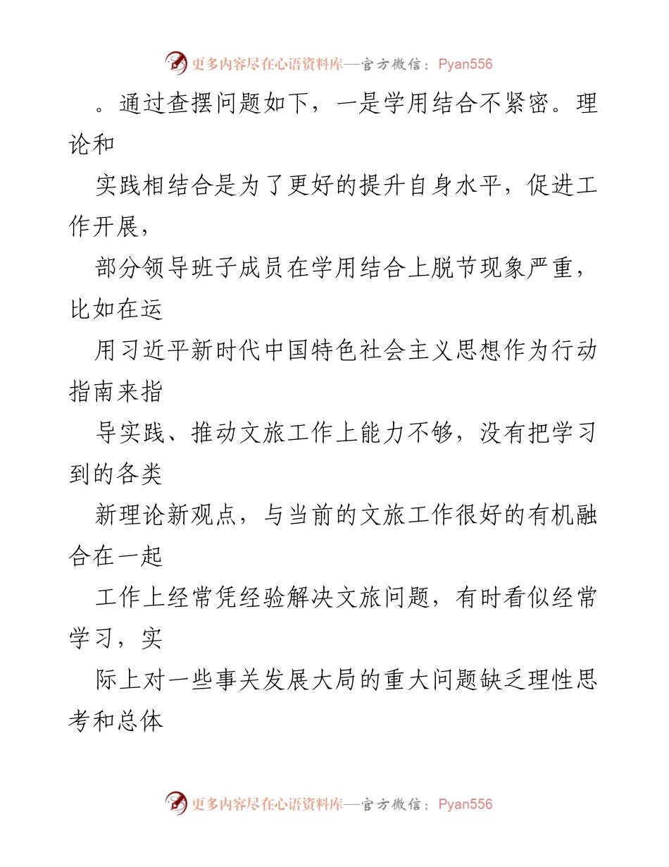 [工作总结] 党性检视 - 2023年某市文化和旅游局领导班子党性检视剖析报告.docx_第2页