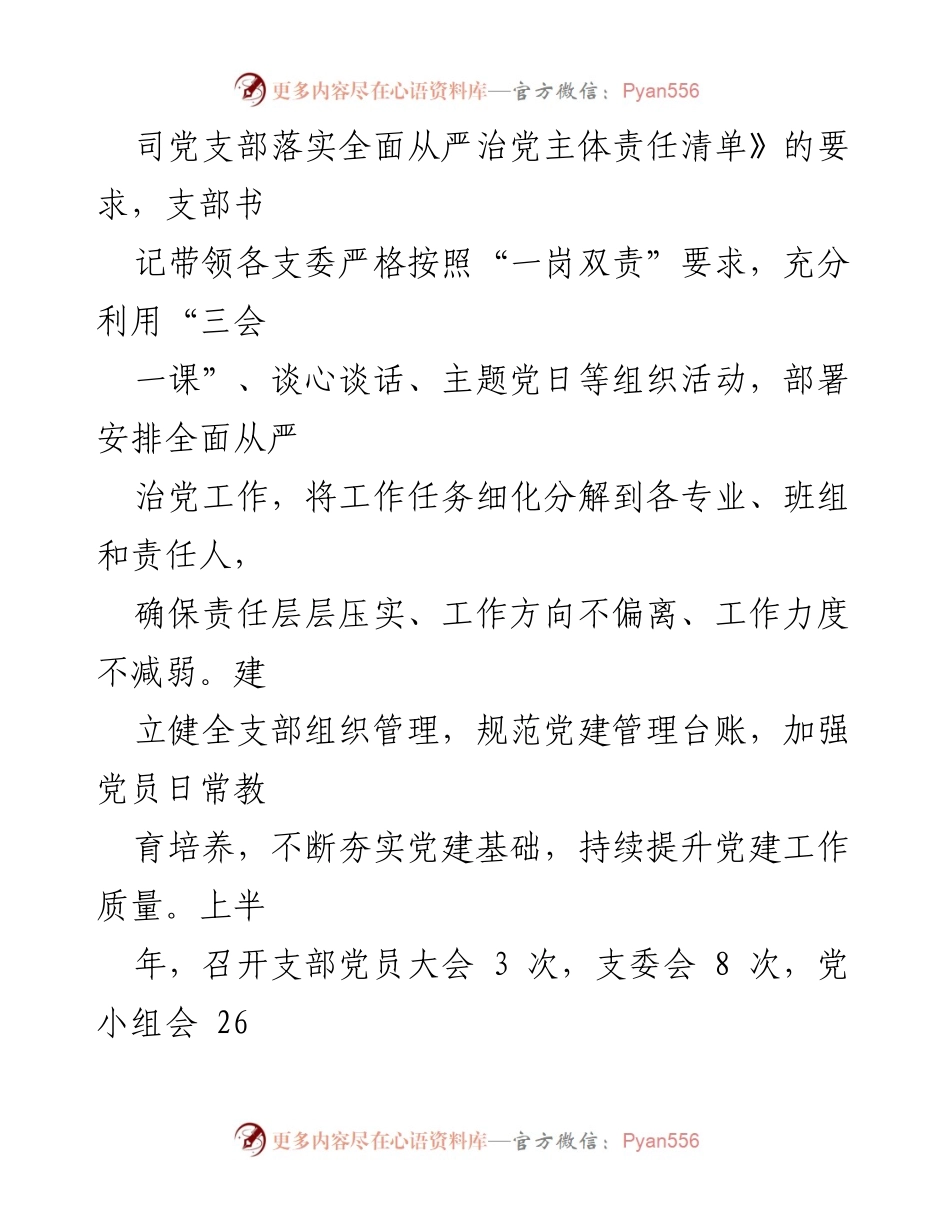 [工作总结] 党支部 - 2024年上半年全面从严治党主体责任落实情况汇报.docx_第2页