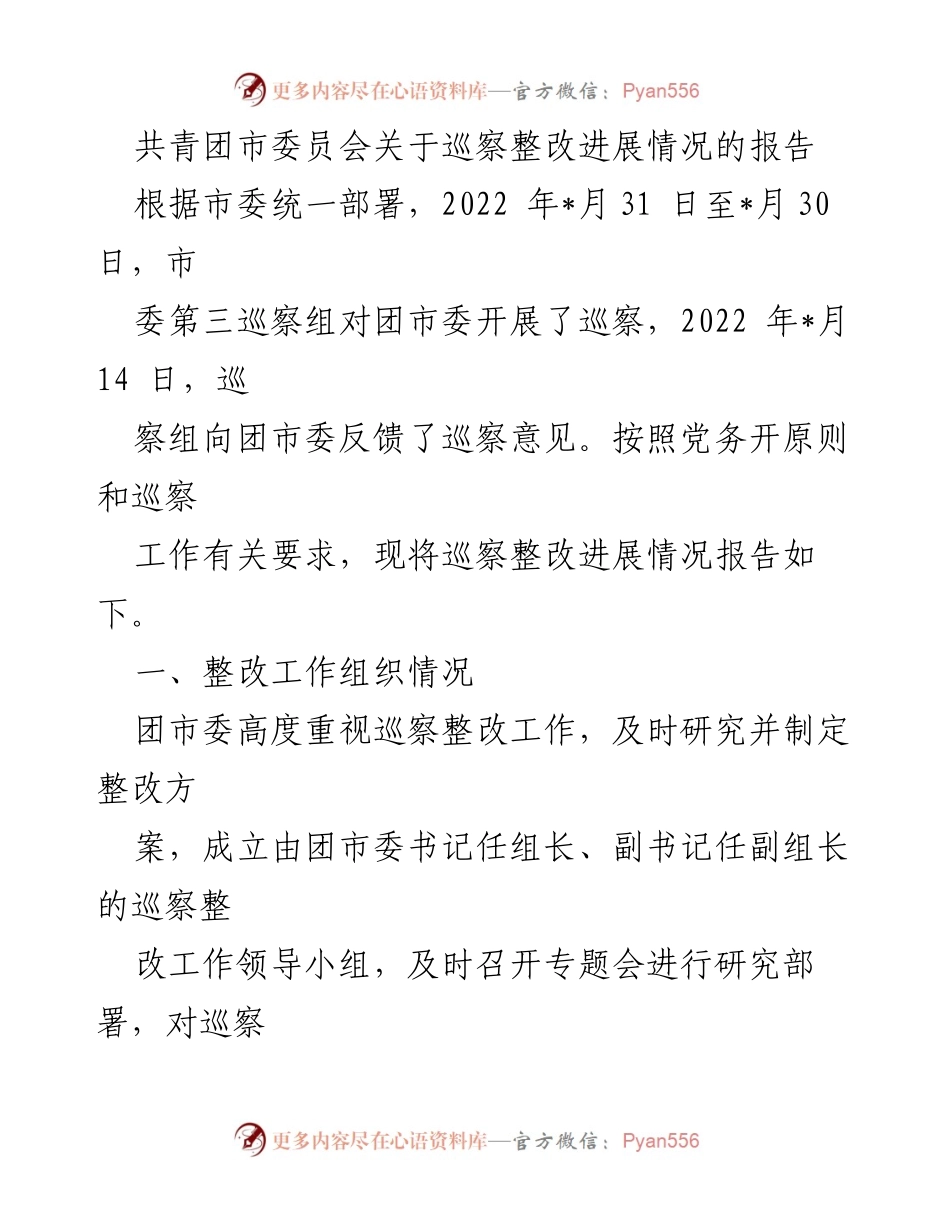 [工作总结] 共青团巡察整改 - 共青团市委员会巡察整改进展情况报告.docx_第1页
