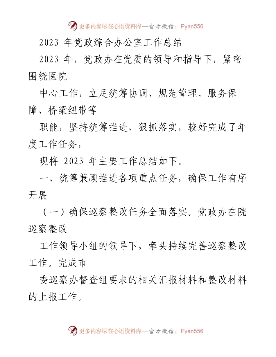 [工作总结] 党政办公室 - 2023年党政综合办公室工作总结.docx_第1页