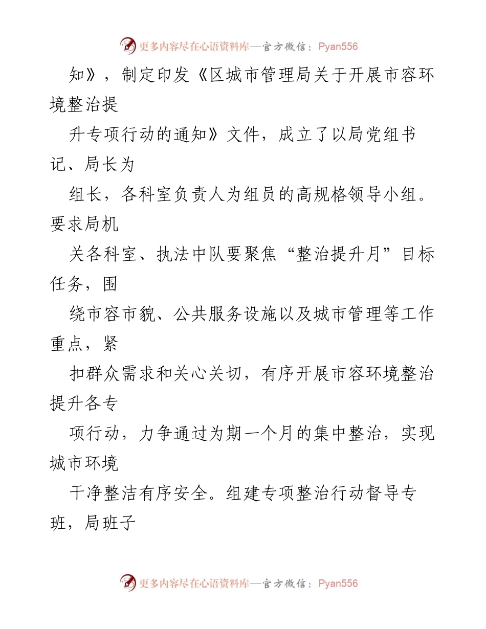 [工作总结] 区城市管理局 - 市容环境整治提升专项行动工作总结.docx_第2页