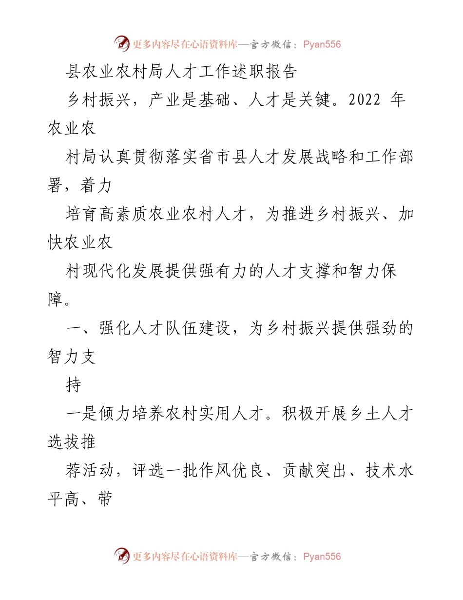 [工作总结] 农业农村局 - 2022年人才工作述职报告：助力乡村振兴的战略实践.docx_第1页