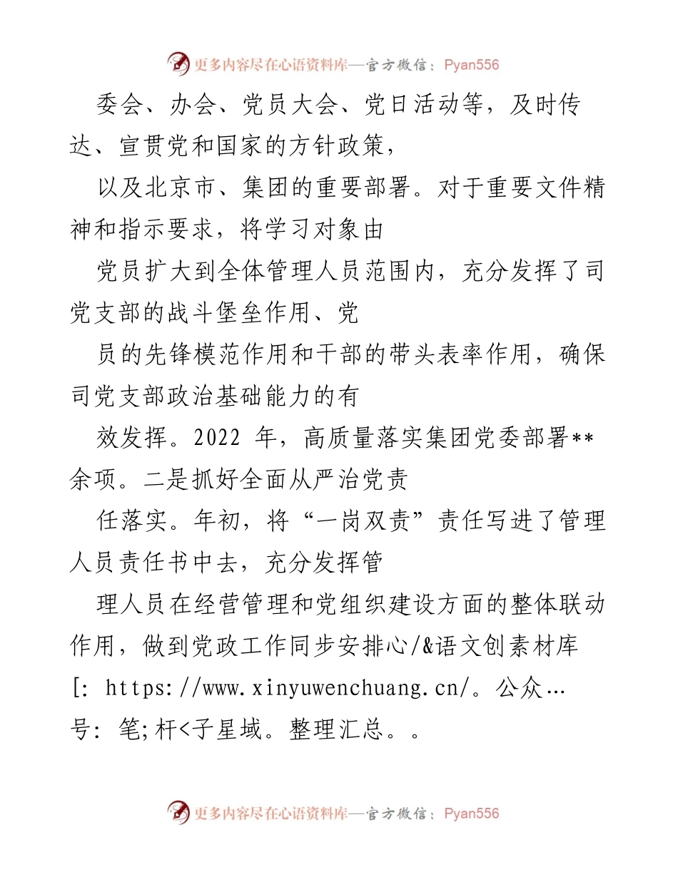 [工作总结] 党支部年度工作 - 2022年某司党支部全面从严治党工作总结.docx_第2页