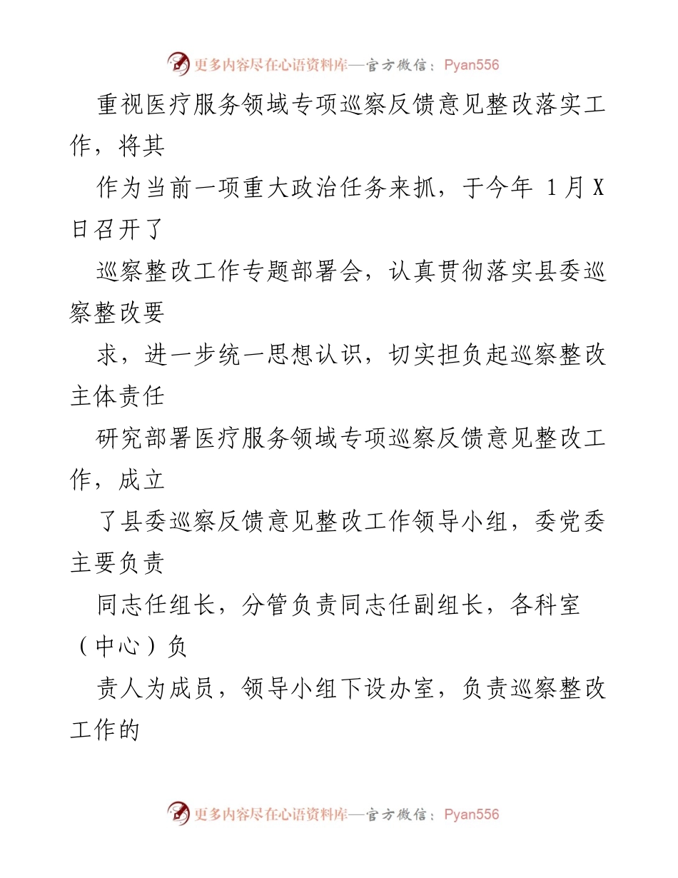 [工作总结] 医疗服务领域专项巡察 - 医疗服务领域专项巡察整改情况报告.docx_第2页
