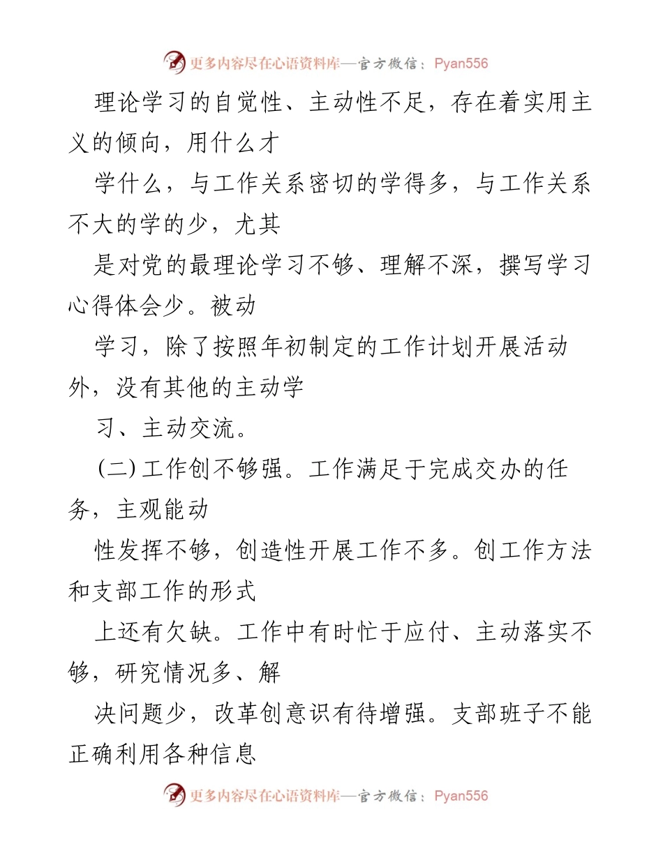 [工作总结] 党支部委员会 - 党支部检视问题情况报告及整改措施分析.docx_第2页
