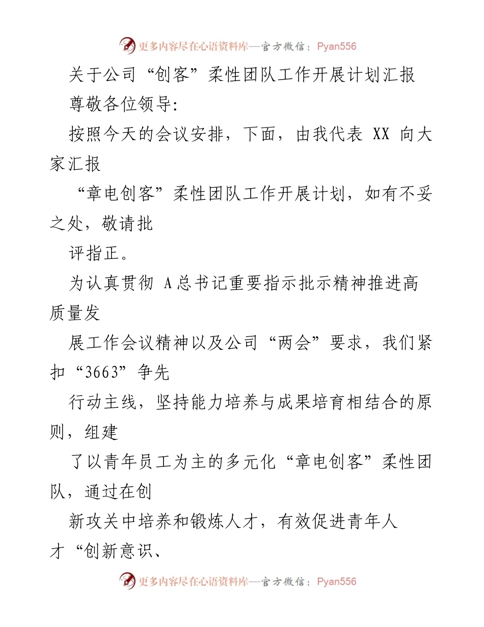 [工作总结] 公司会议 - “章电创客”柔性团队工作开展计划汇报.docx_第1页