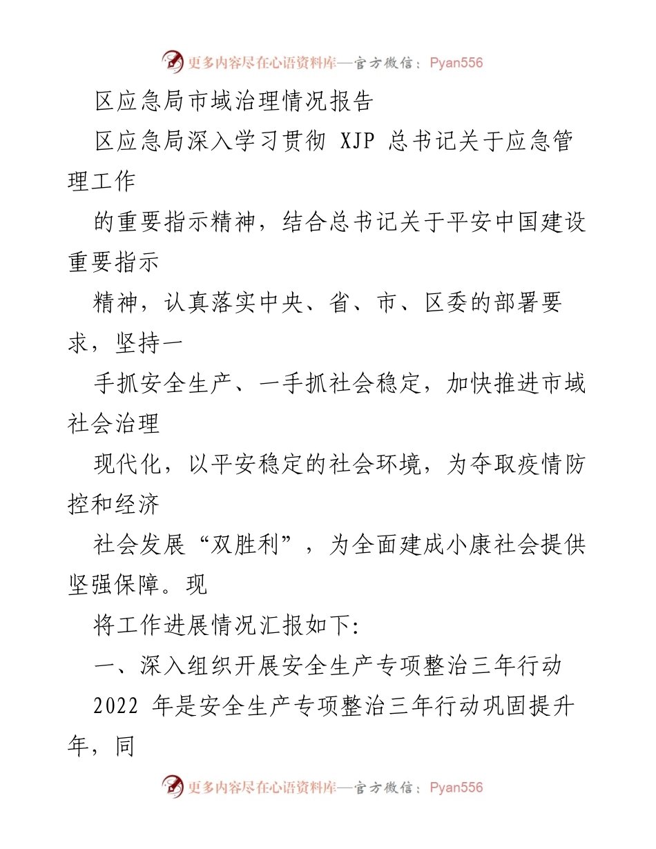 [工作总结] 区应急局 - 市域治理与安全生产工作进展报告.docx_第1页