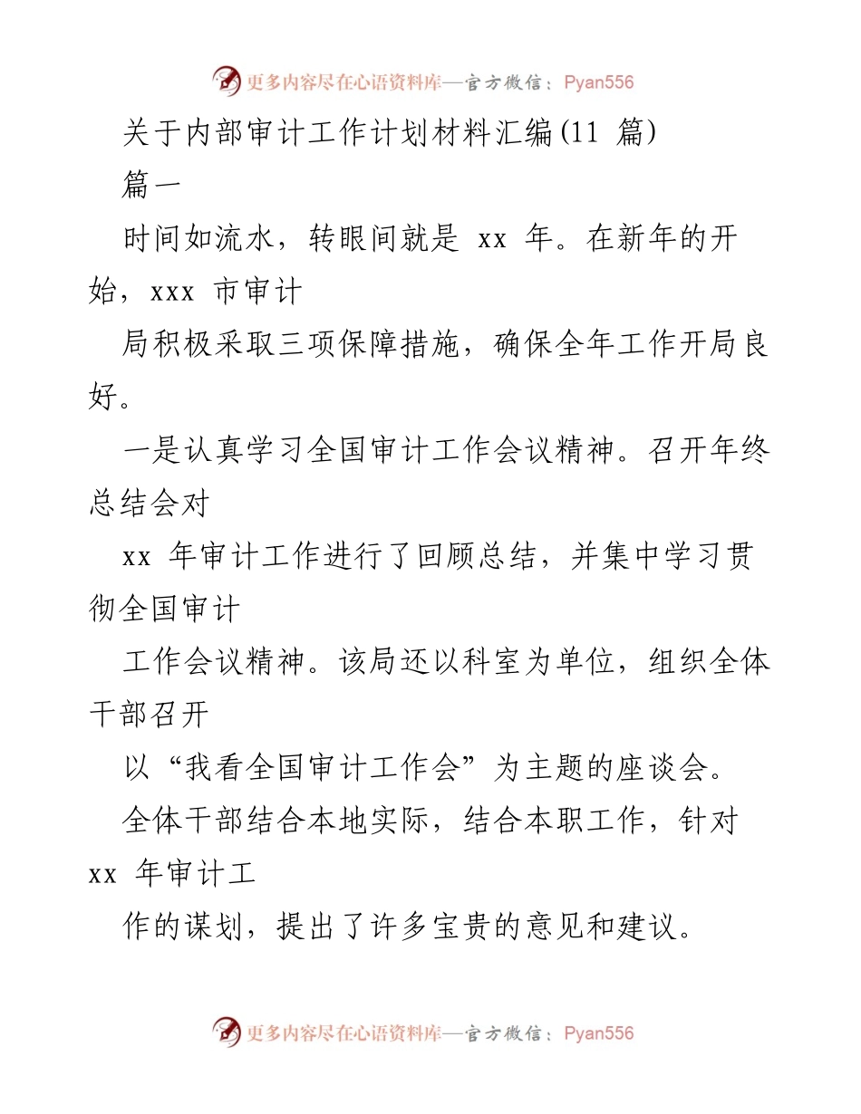 [工作总结] 内部审计工作计划 - _2023年内部审计工作计划与实施策略_.docx_第1页