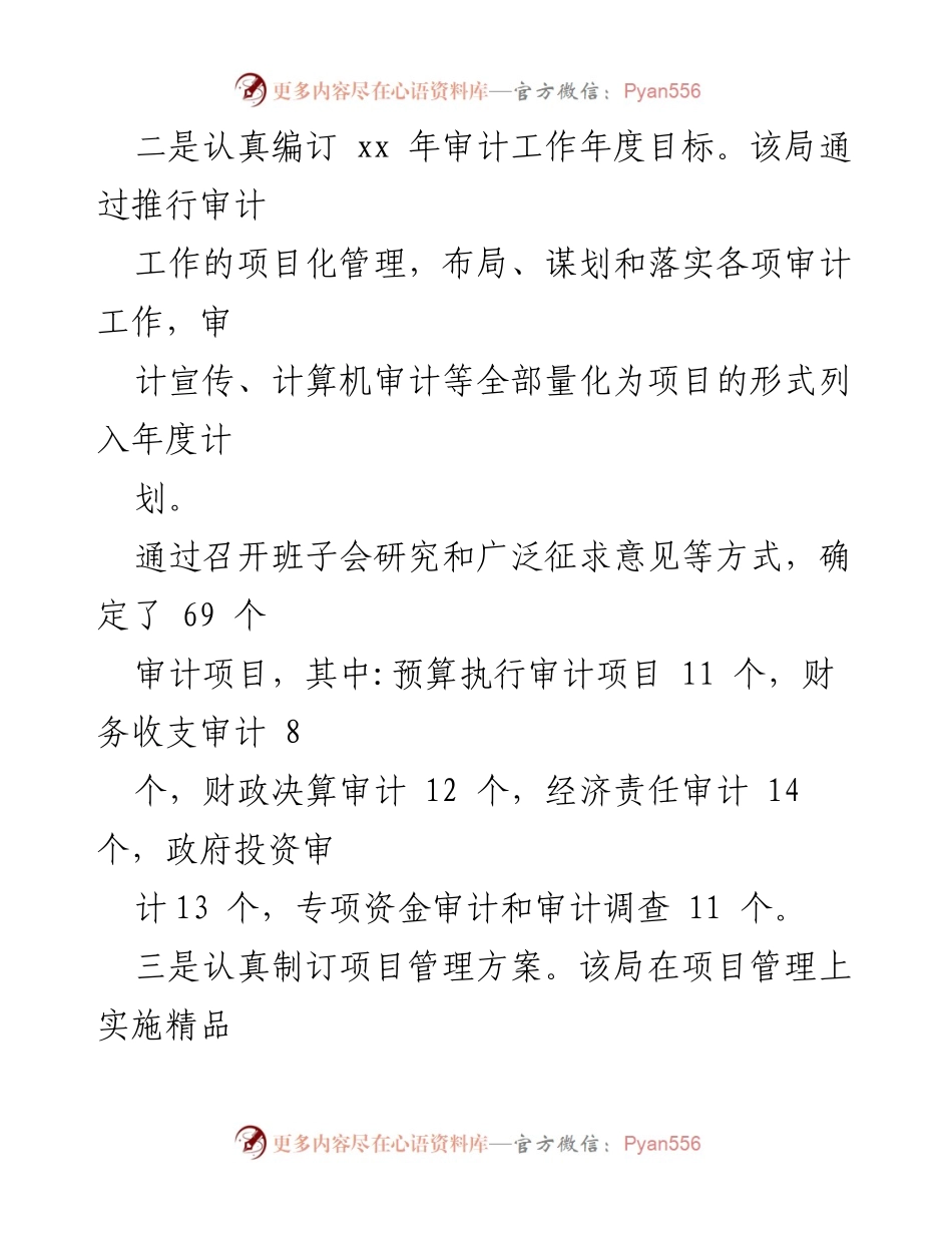 [工作总结] 内部审计工作计划 - _2023年内部审计工作计划与实施策略_.docx_第2页