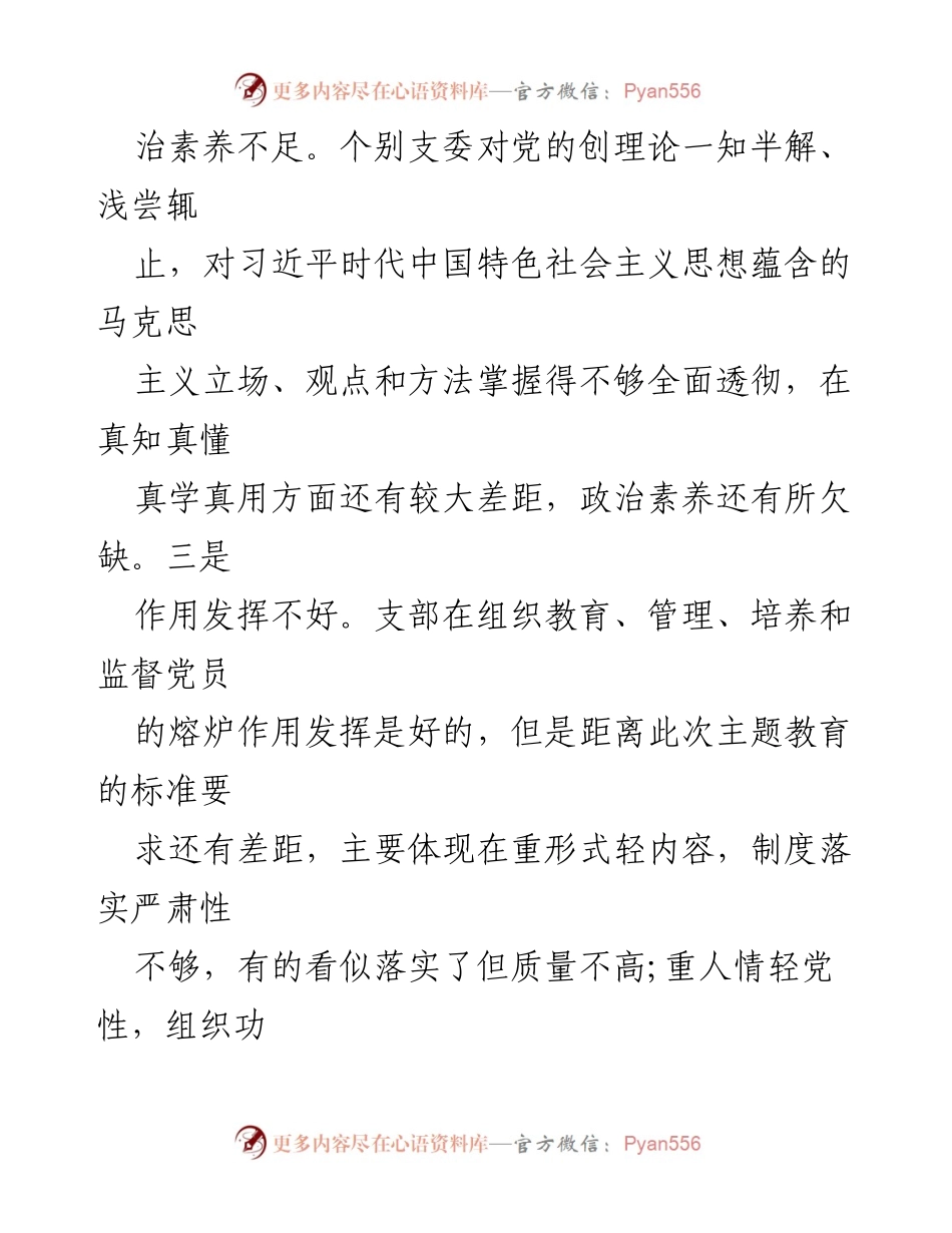 [工作总结] 党支部组织生活会 - 主题教育推动中的问题与整改措施分析.docx_第2页