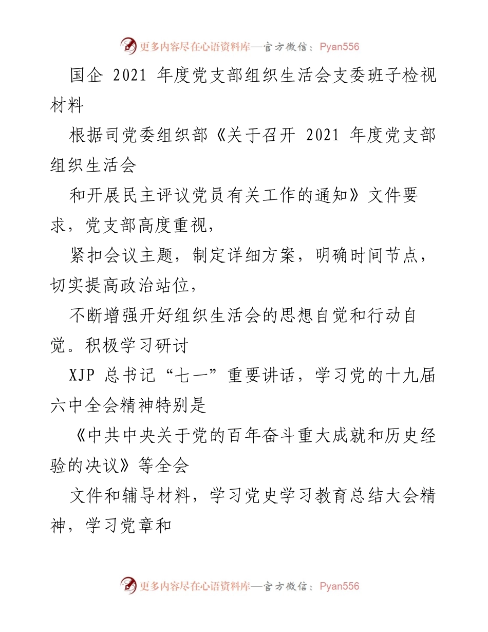 [工作总结] 国企党支部 - 2021年度党支部组织生活会支委班子检视材料总结.docx_第1页