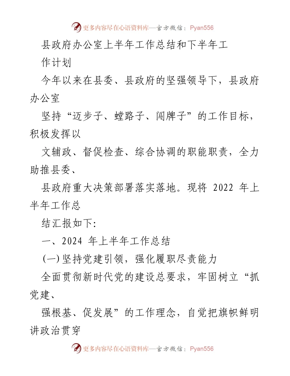 [工作总结] 县政府办公室 - 2024年上半年工作总结与下半年工作计划_1.docx_第1页