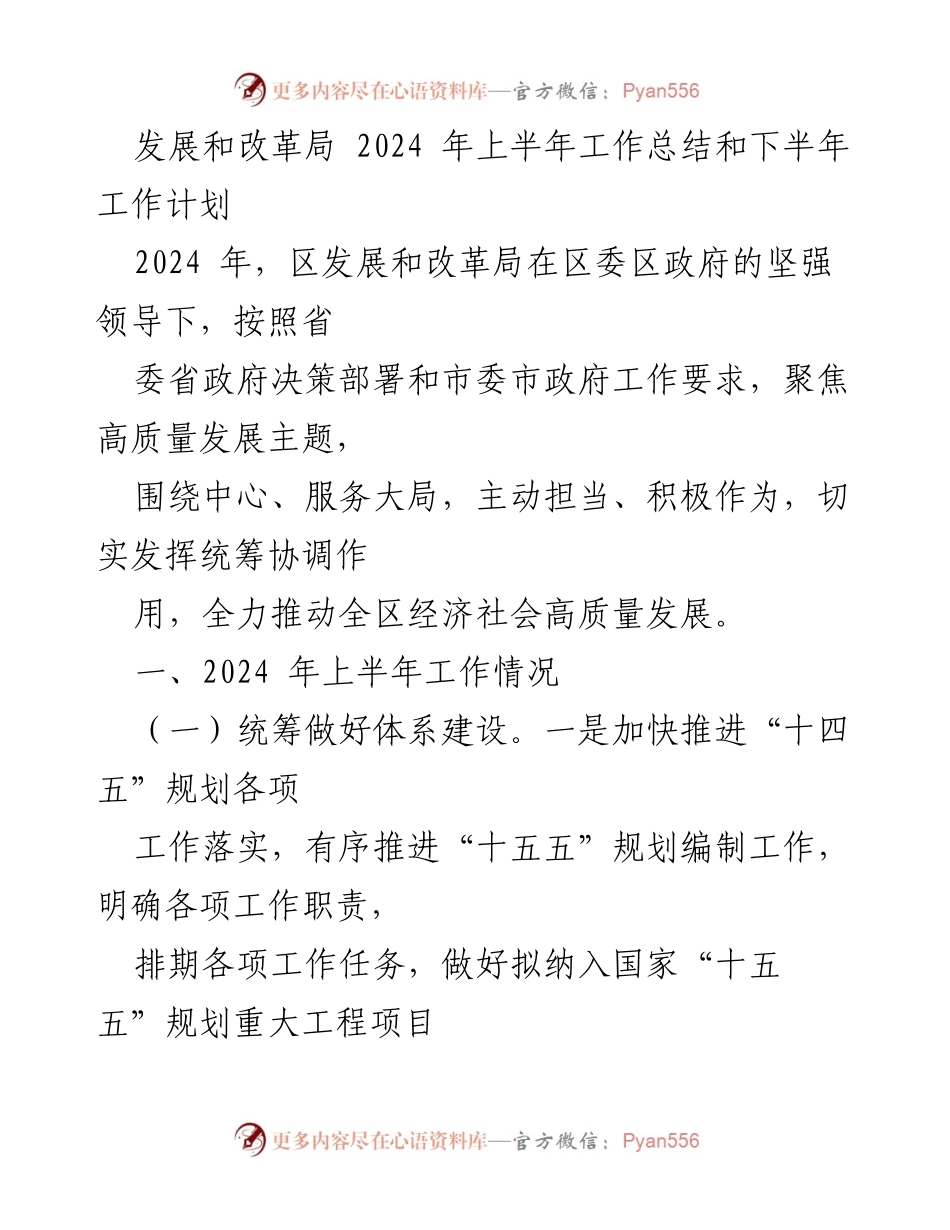 [工作总结] 发展和改革局 - 2024年上半年工作总结与下半年计划.docx_第1页