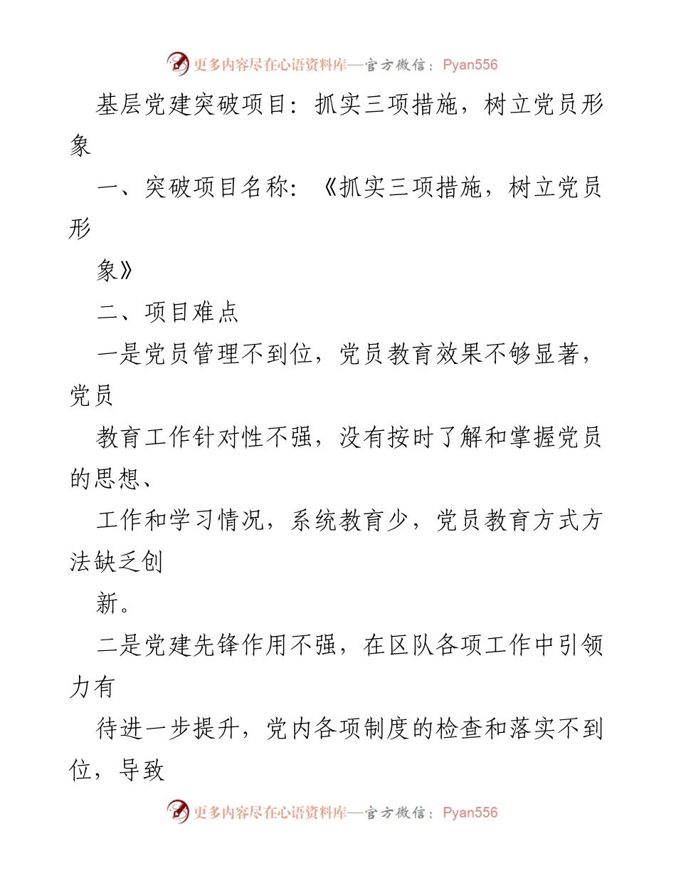 [工作总结] 基层党建 - 抓实三项措施，树立党员形象_1.docx_第1页