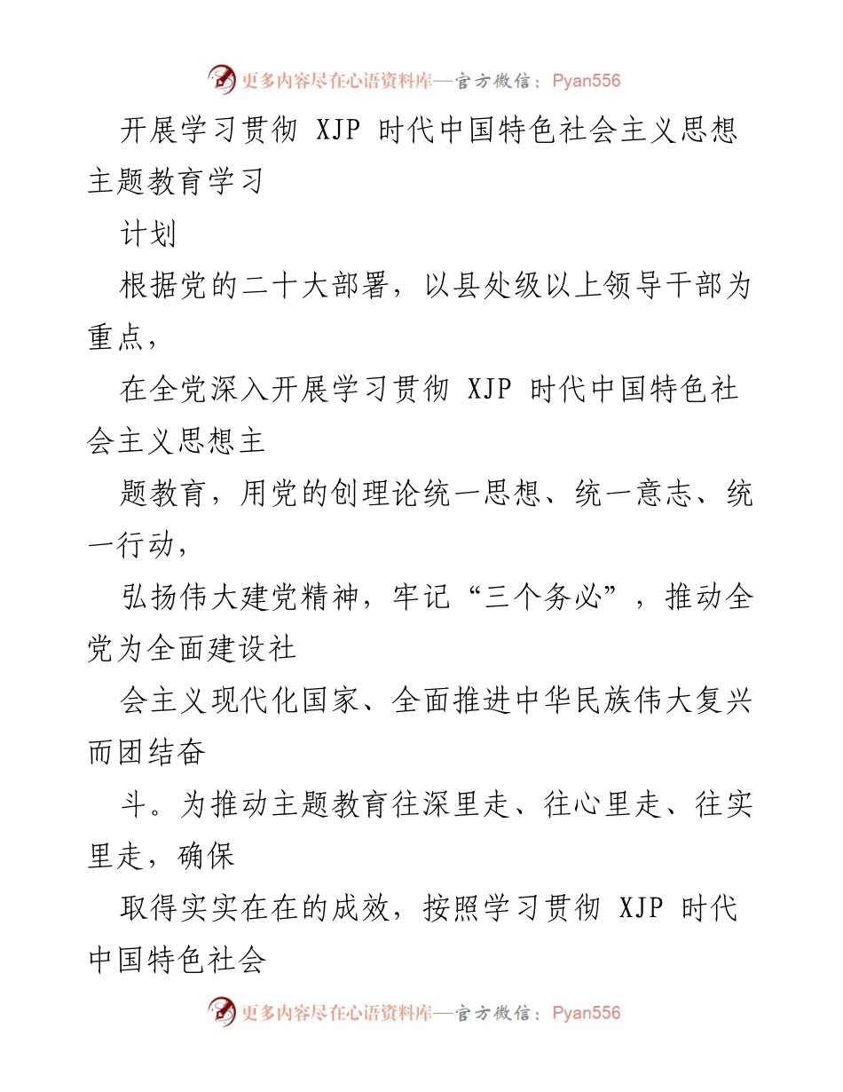 [工作总结] 学习贯彻主题教育 - 学习贯彻 XJP 时代中国特色社会主义思想主题教育工作安排.docx_第1页