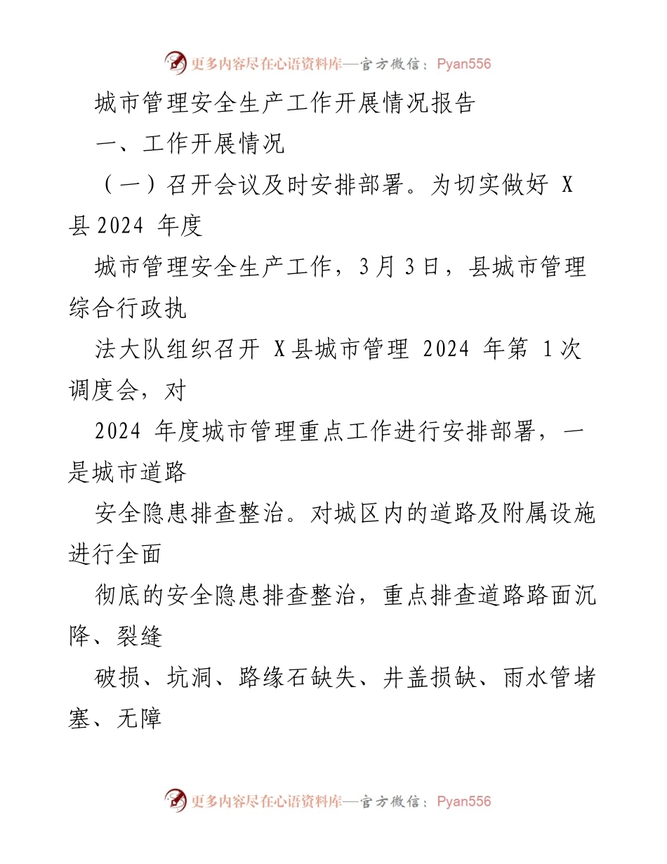 [工作总结] 城市管理 - 2024年度城市管理安全生产工作开展情况报告.docx_第1页