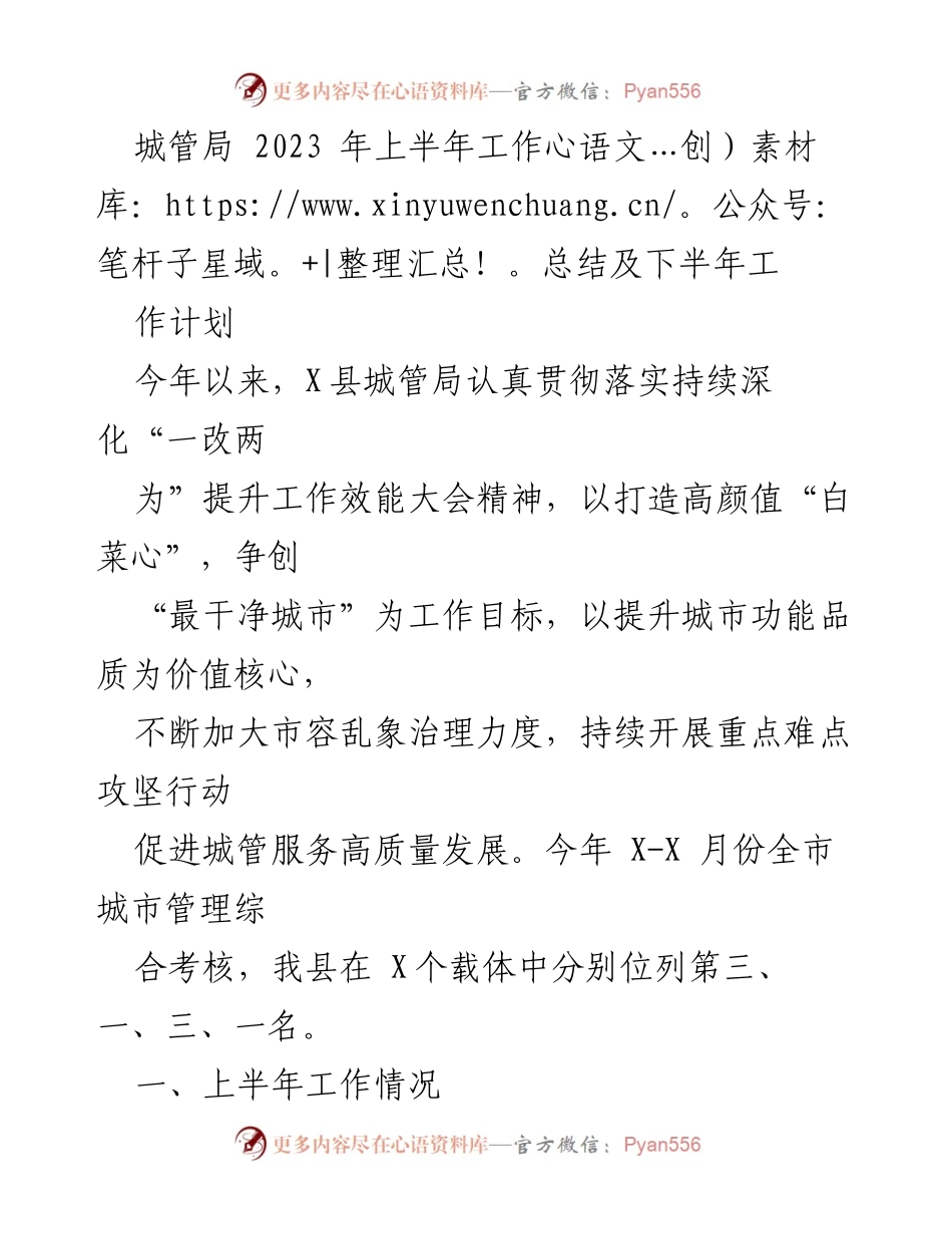 [工作总结] 城管局 - 2023年上半年工作总结及下半年工作计划_1.docx_第1页