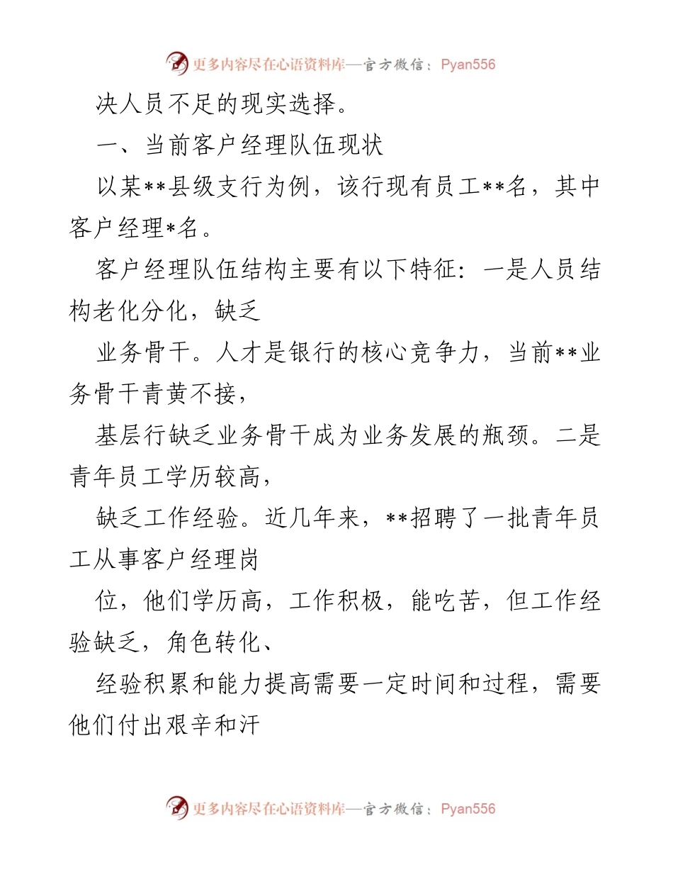[工作总结] 基层客户经理效能提升 - 提高基层客户经理工作效能的路径思考.docx_第2页