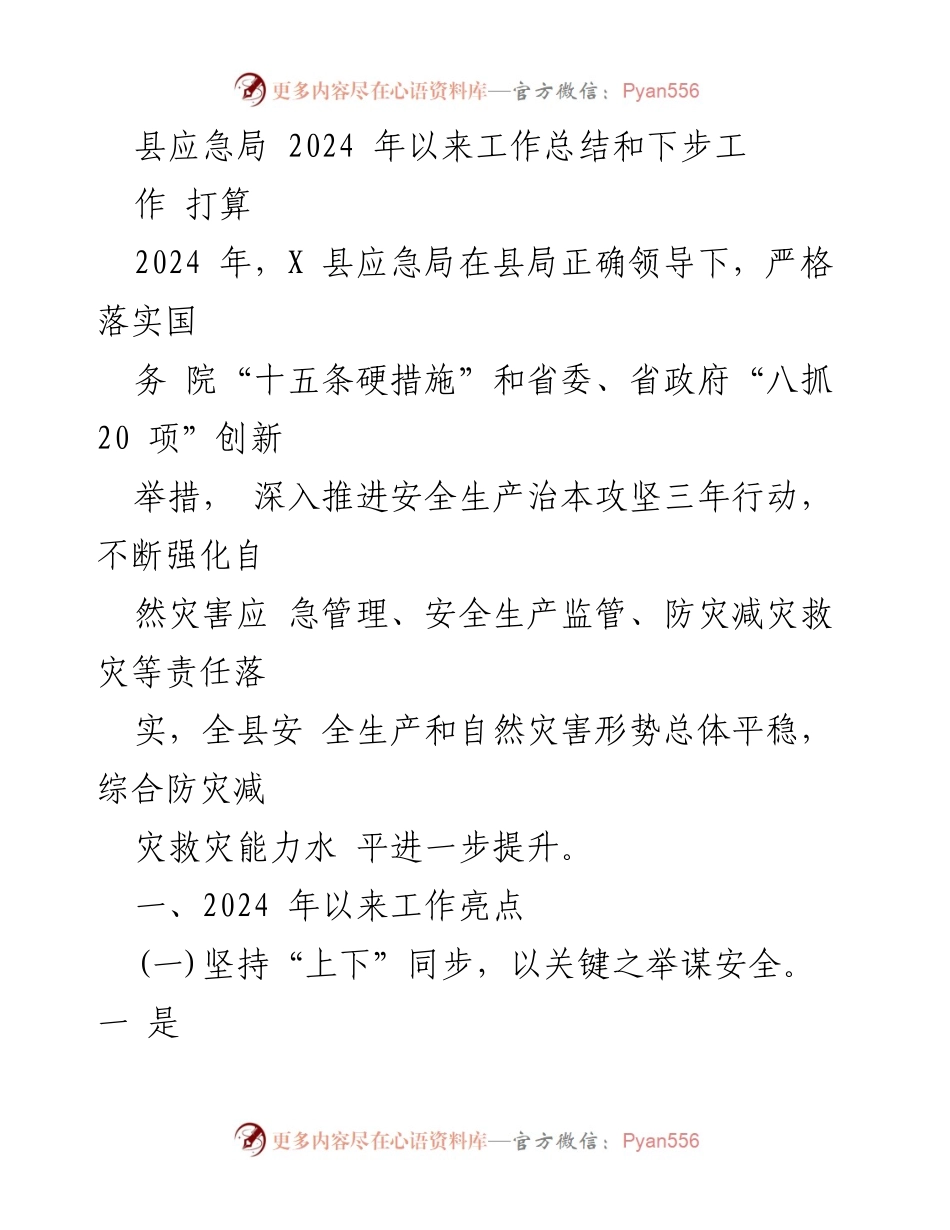 [工作总结] 县应急局 - 2024年应急局工作总结与未来工作计划.docx_第1页