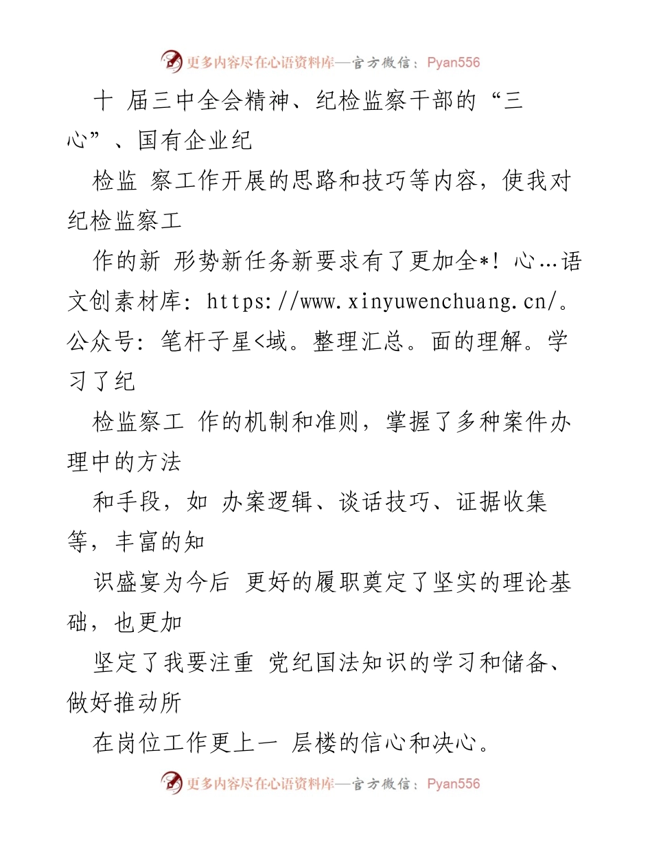 [工作总结] 培训总结 - 提升纪检监察干部综合能力的学习体会.docx_第2页