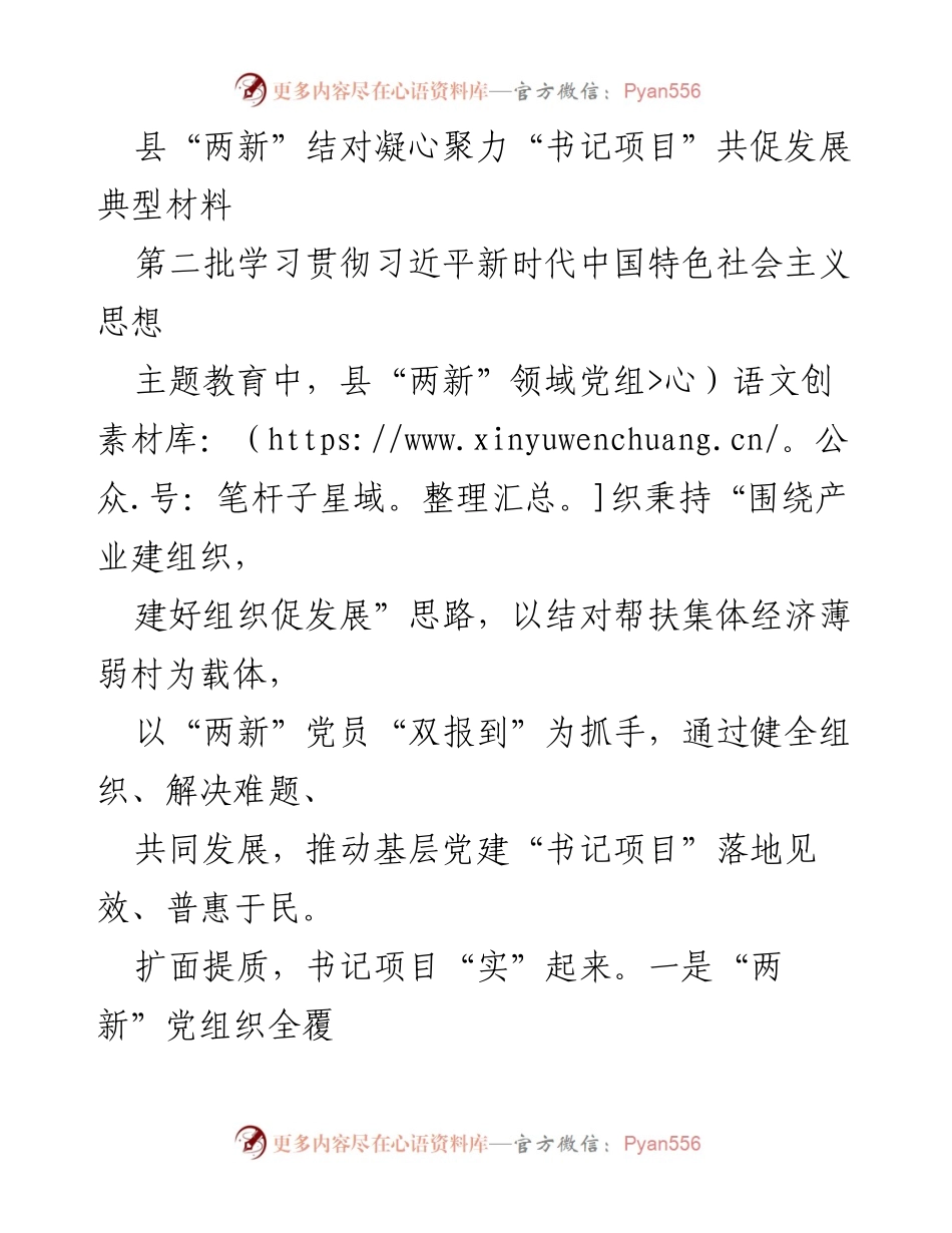 [工作总结] 县“两新”领域党建工作 - 推动“两新”党建高质量发展的书记项目实践总结.docx_第1页