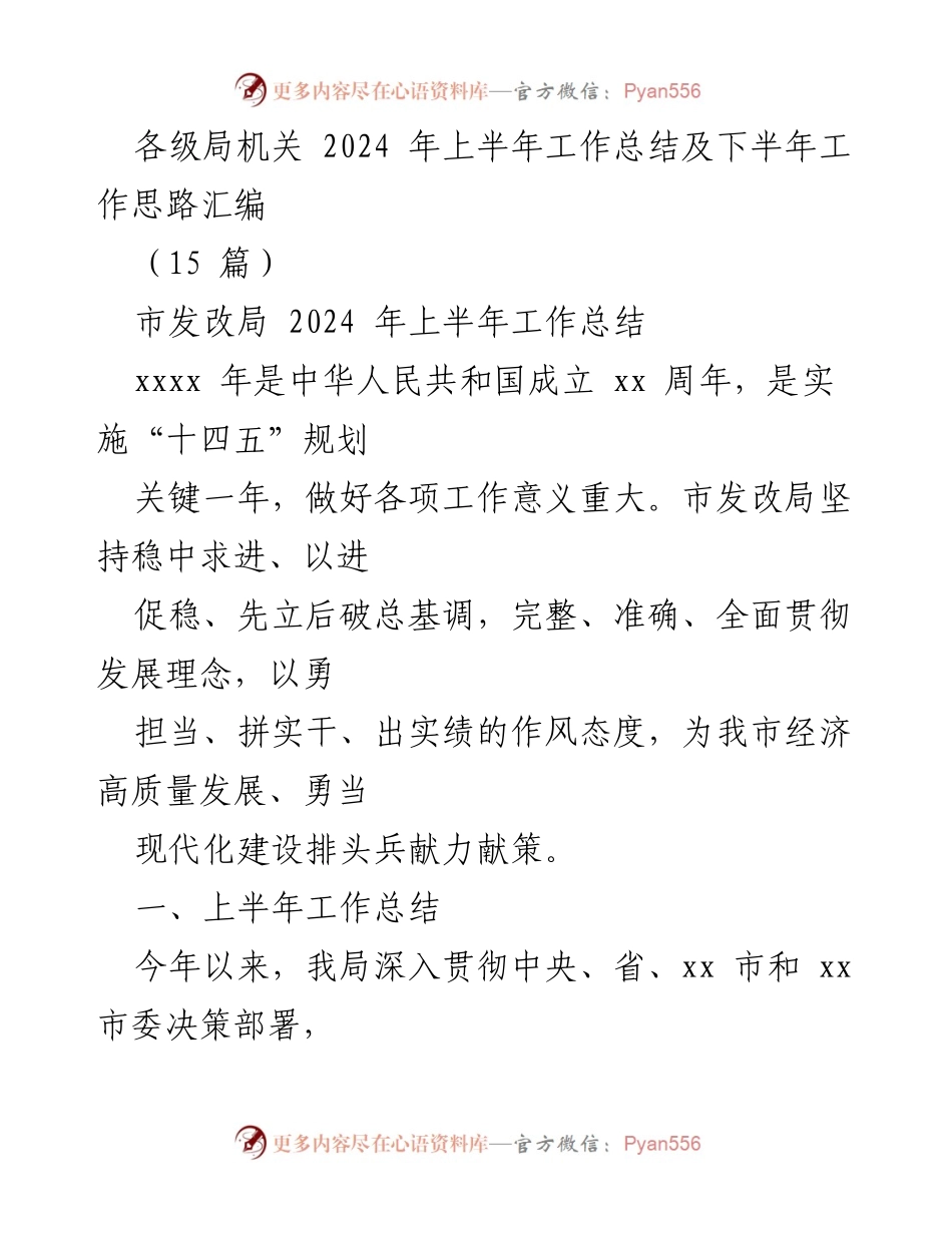 [工作总结] 各级局机关 - 2024年上半年市发改局工作总结及下半年思路.docx_第1页